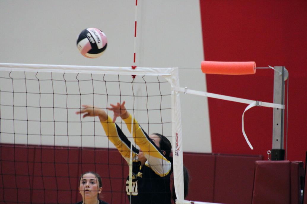 Prep volleyball Central Lee takes second at Lone Tree, advances to