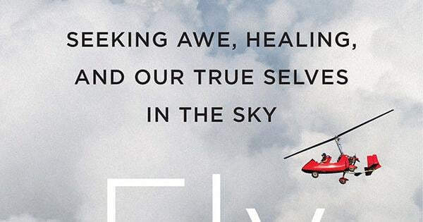 Review of 'Why Fly: Seeking Awe, Healing, and Our True Selves in the Sky'