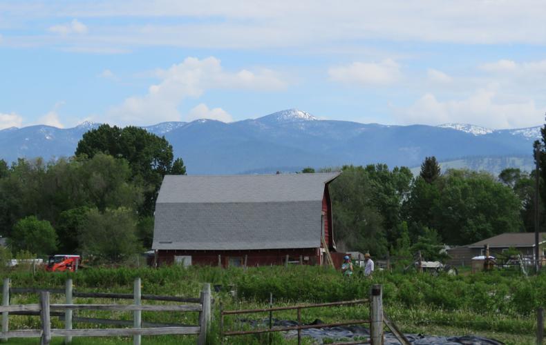 Neighborhood Target Range Housing