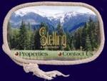 Stelling & Associates