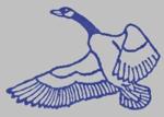 Blue Goose Aviation