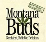 Montana Buds