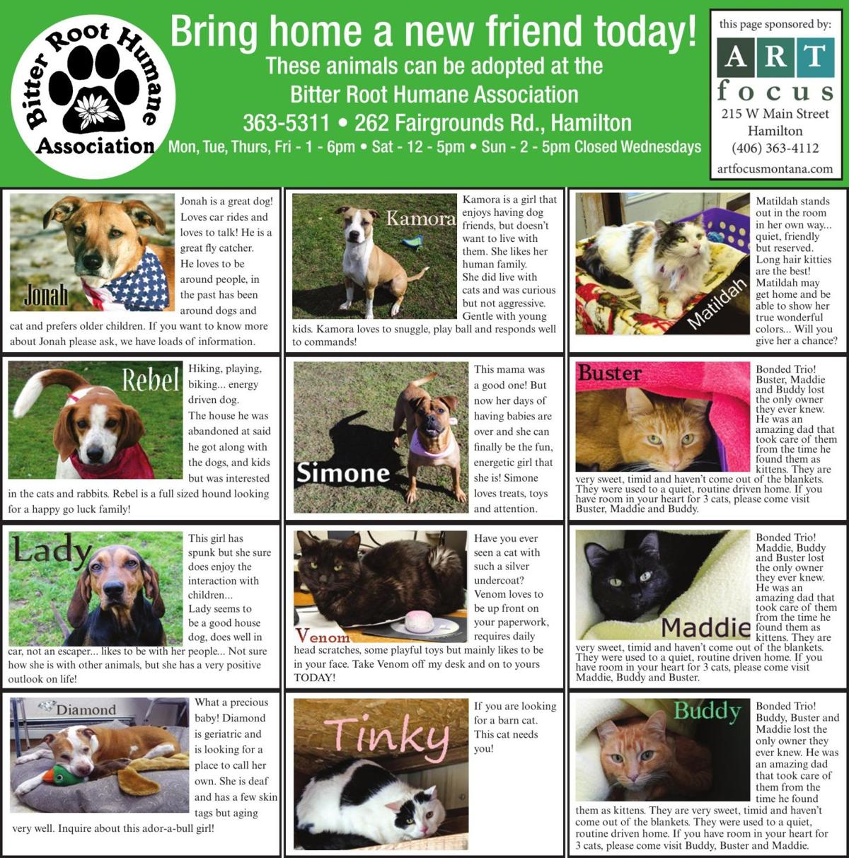 20535375 Pdf Ad Vault Missoulian Com