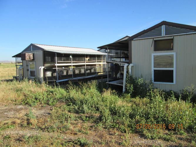 Dogs seized from kennel; owners face possible felony charge