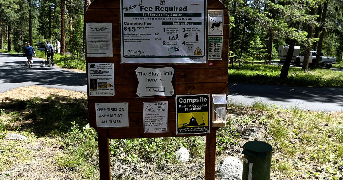 People camping at the Charles Waters Campground in the Bitterroot National Forest have numerous spots from which to choose. A new study looks at why c