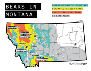 Grizzly attack highlights importance of Bear Aware knowledge