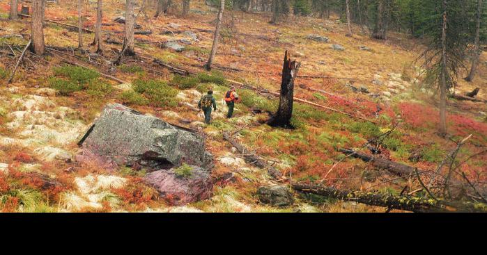 Rattlesnake Wilderness: Recreation for all just north of Missoula
