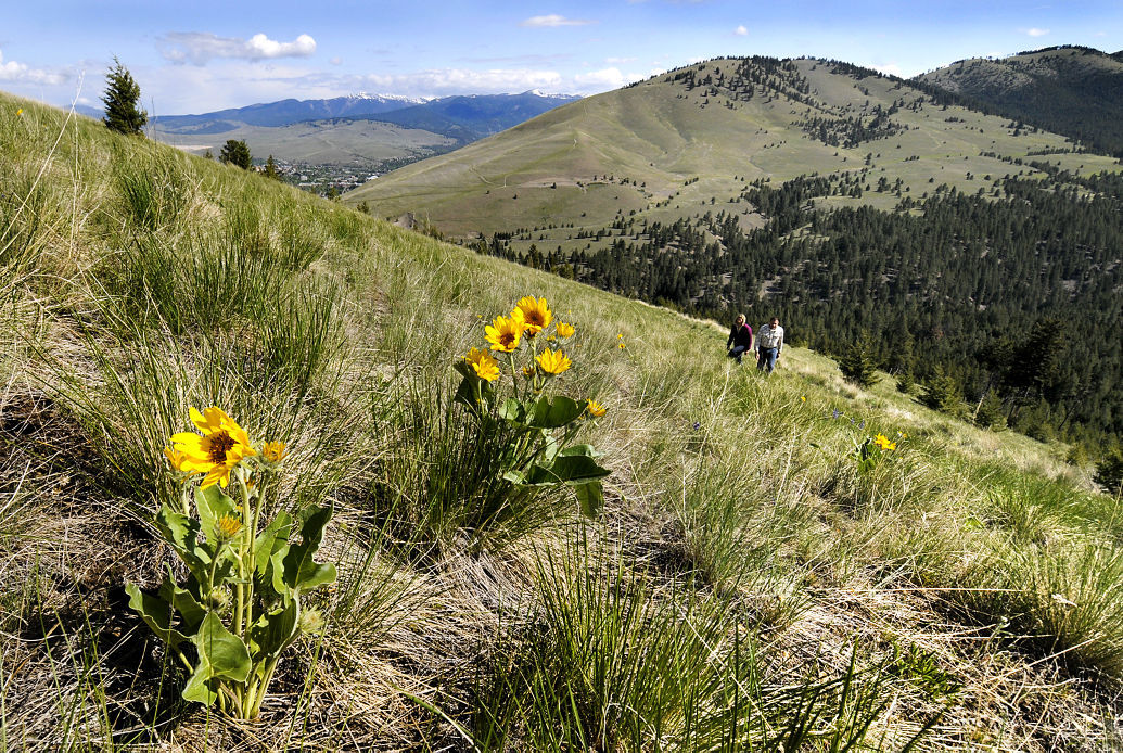 Head Of Five Valleys Land Trust Leaving Job Local News Missoulian Com