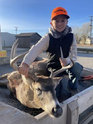 Hunting season report: Hunter numbers up, average success along Rocky Mountain Front