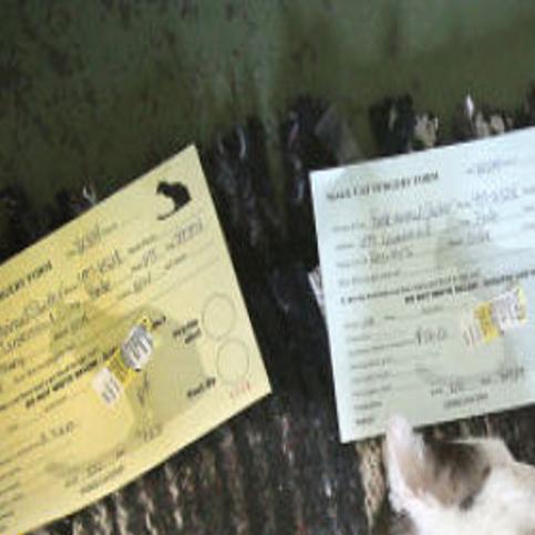 House Rented By Butte Cat Hoarder To Be Demolished State