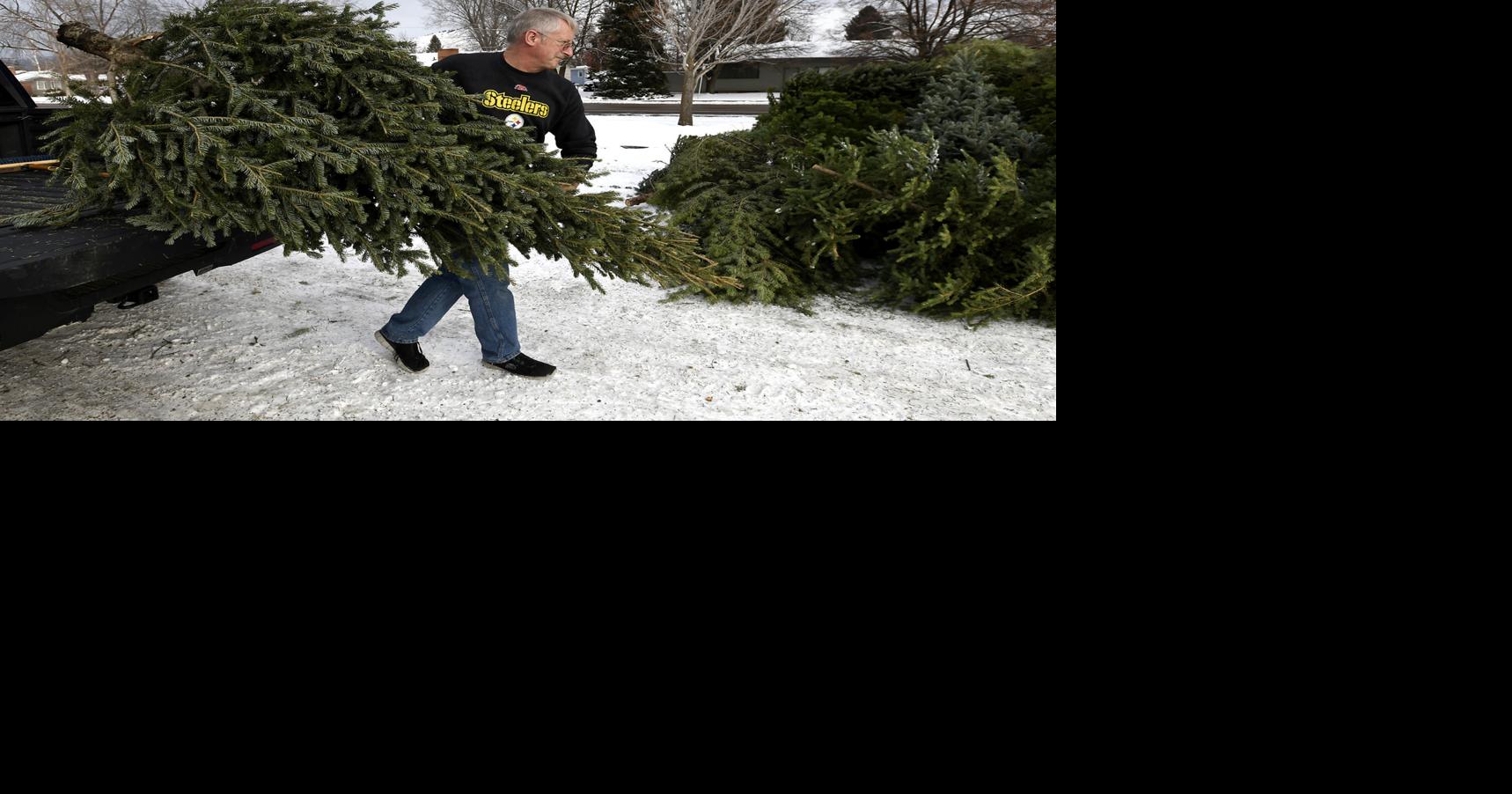 Missoula Parks and Rec begins Christmas tree recycling and composting