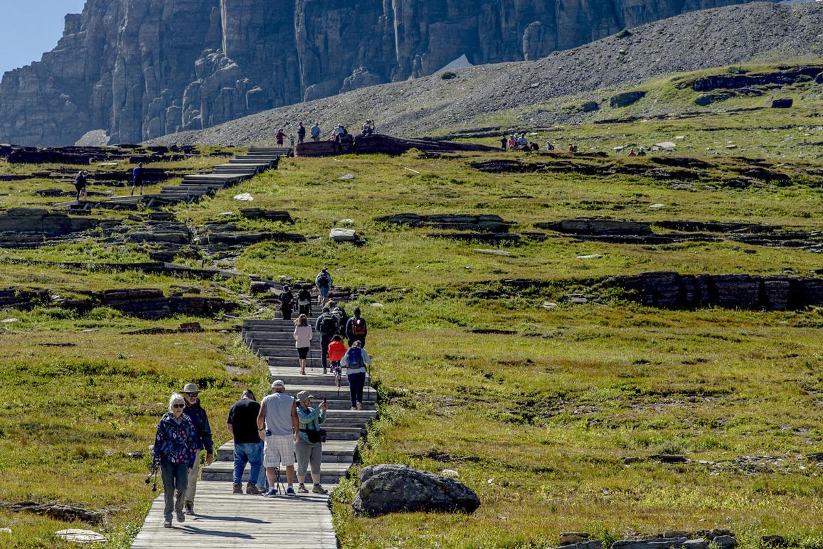 Glacier congestion