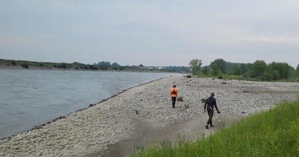 Yellowstone River cleanup continues; more asphalt removed - Vimarsana News