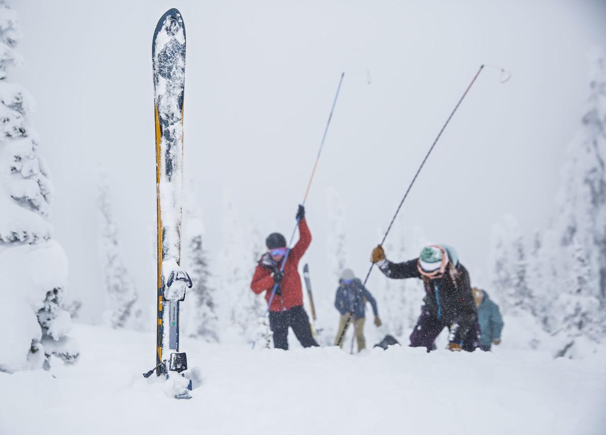 Exchange Avalanche Education Women