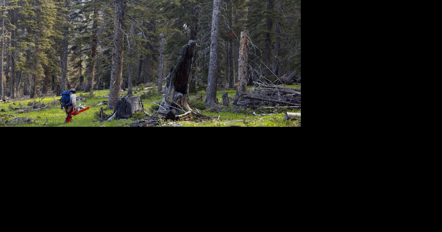 Butte heeds call for community stewardship at annual CDT trail maintenance event