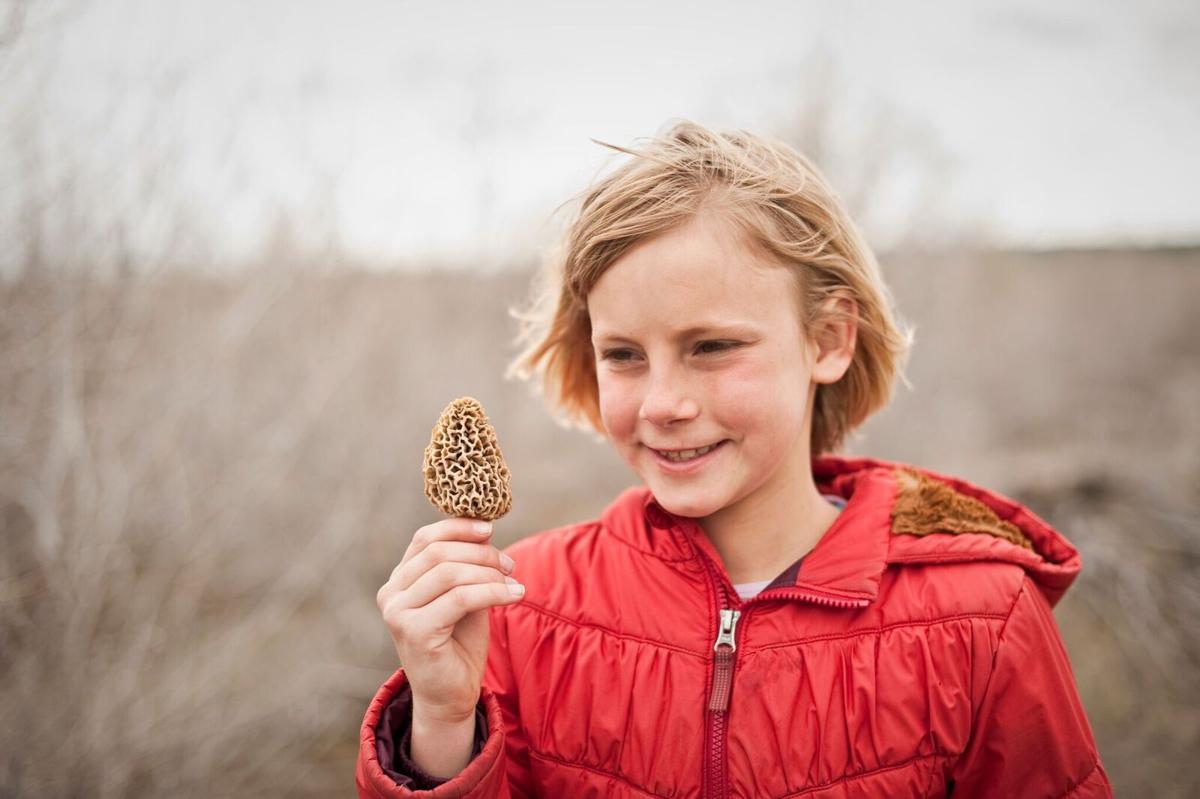 THE LAST BEST PLATES: Finding morels is almost as good as ...