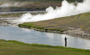 Yellowstone closes fishing on 3 rivers as water temps top 80 degrees, trout dying
