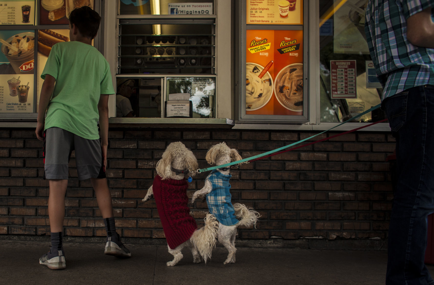 Dairy queen outlet puppy cone