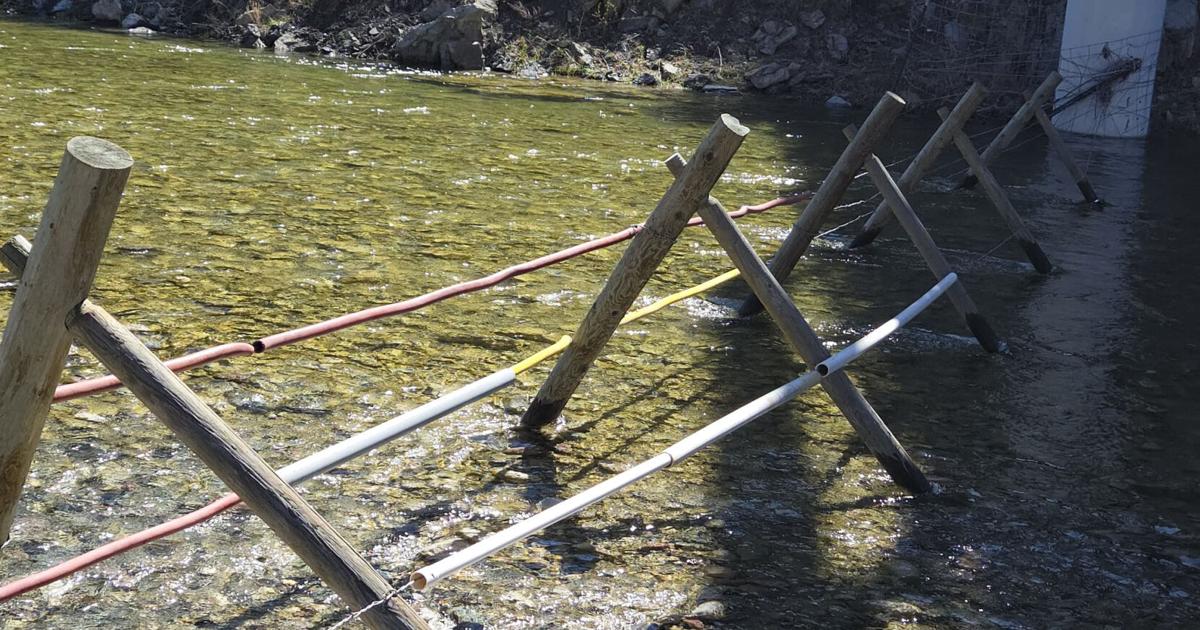 New fence across Dearborn River sparks outcry; FWP works with landowner on fix