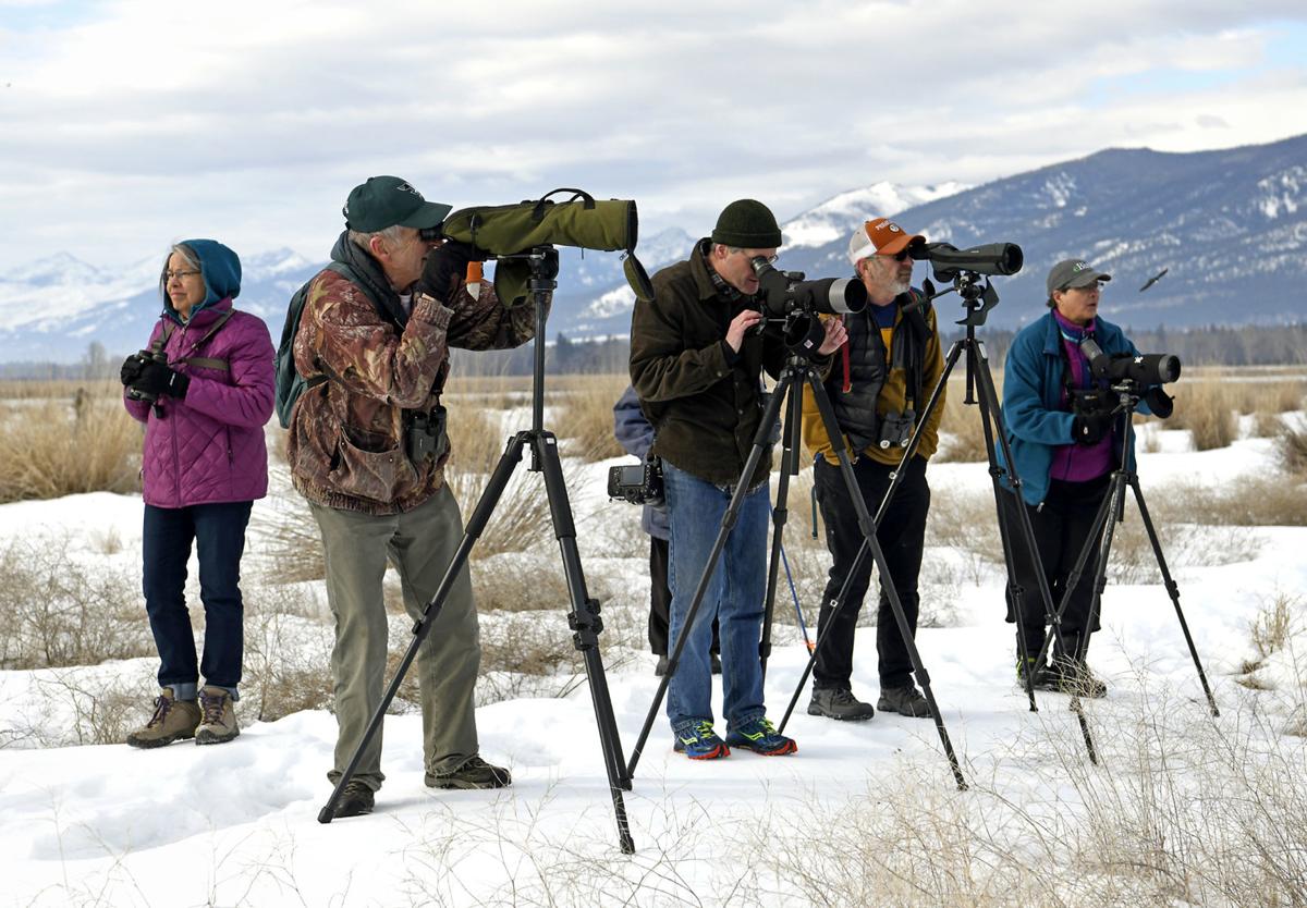 Audubon Field Trip 1