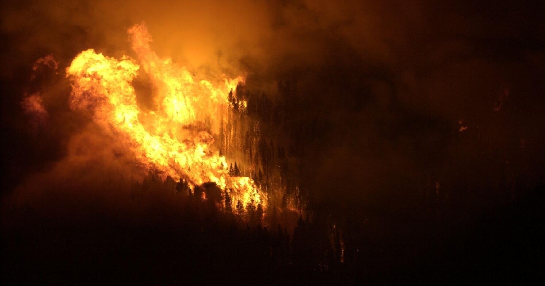 Roberts fire in 2003 changed how Glacier fights wildfires - Vimarsana News