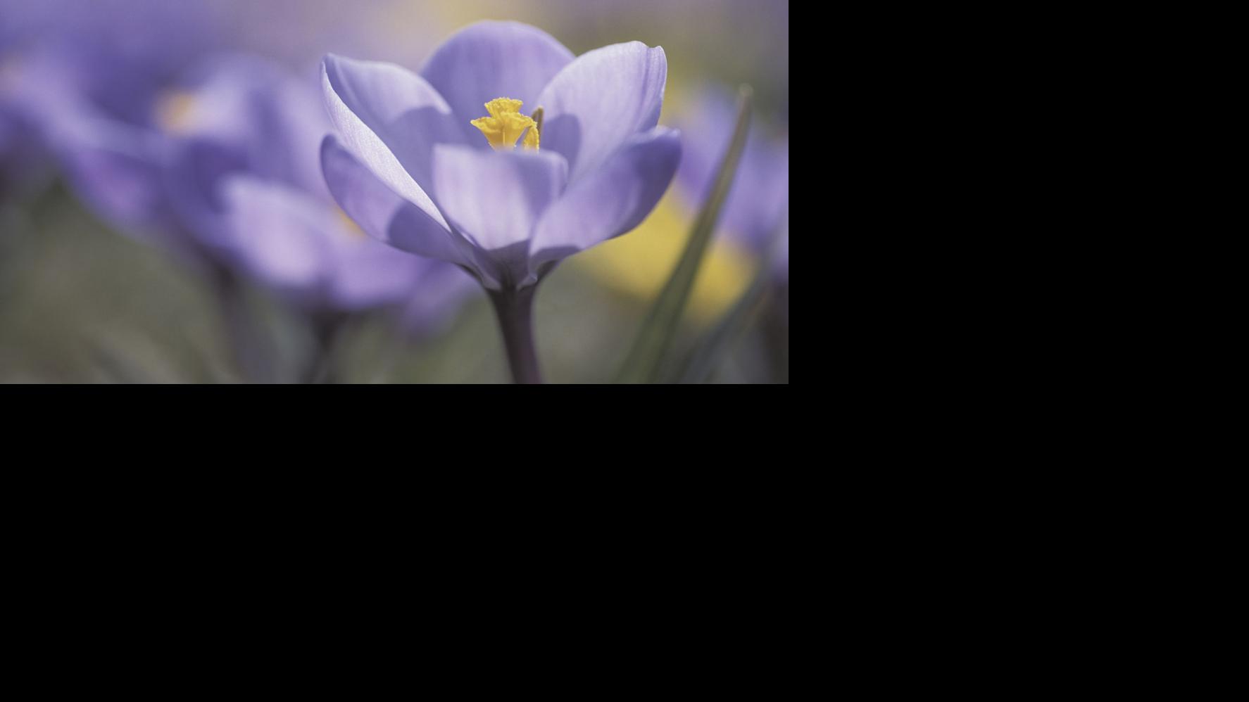 Western Montana Obituaries Jan 22 28 Local News Missoulian Com