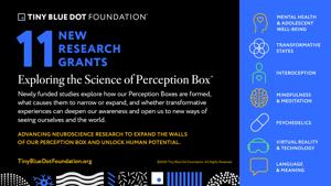 Tiny Blue Dot Foundation Awards $9M For 11 New Research Grants Exploring the Science of the Perception Box
