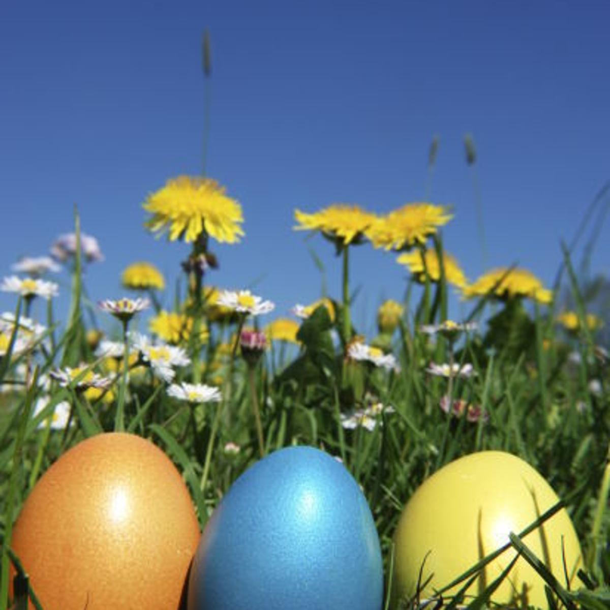 Easter Egg Hunts Around Missoula Local News Missoulian Com Missoula 2022 Easter Events