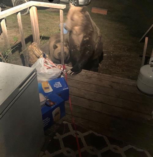 Grizzly porch