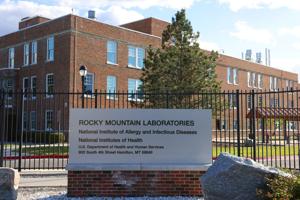 After an infected monkey bit an RML worker, report finds protocols need updating