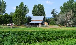 Lifeline for a lifetime: Owners of Victor farm to be honored by Missoula Conservation Roundtable