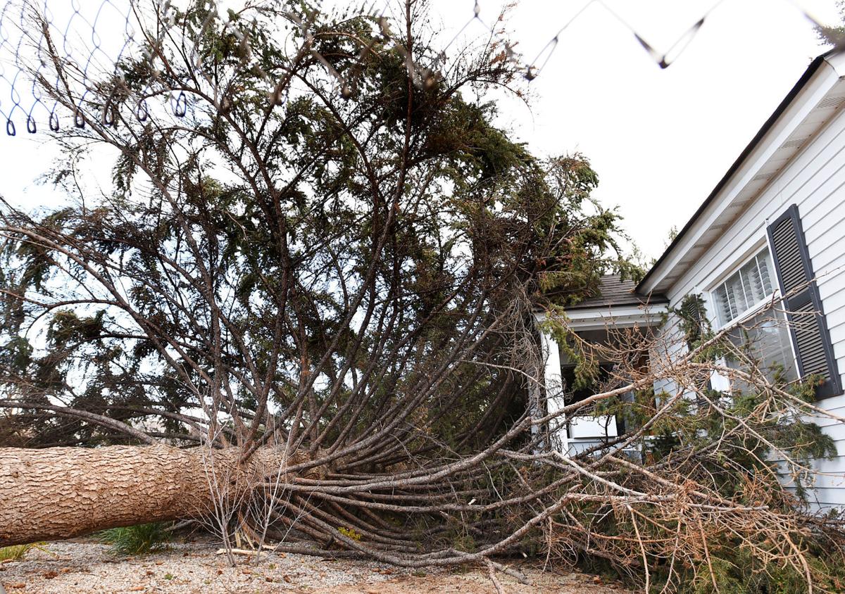 Storm Winds Brings Power Outages Some Snow To Western Montana Local News Missoulian Com