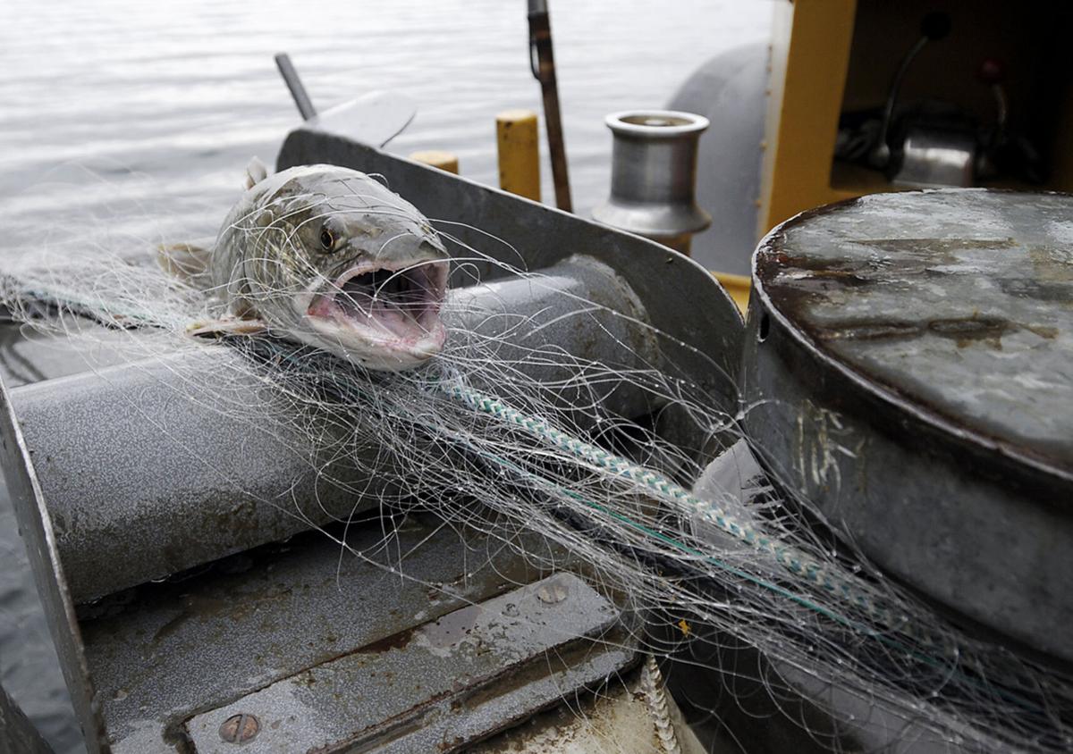 Fish, Wildlife and Parks 3