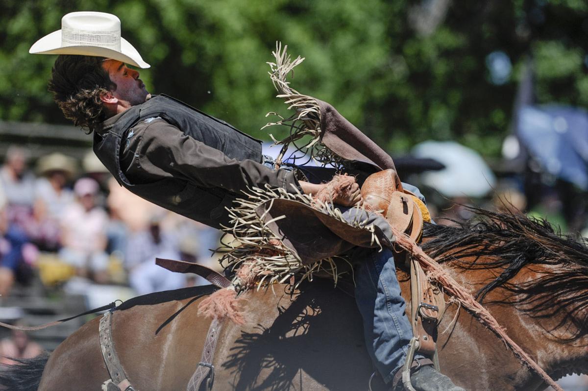 Flathead County Fair Board rescinds opposition to Bigfork Rodeo Local