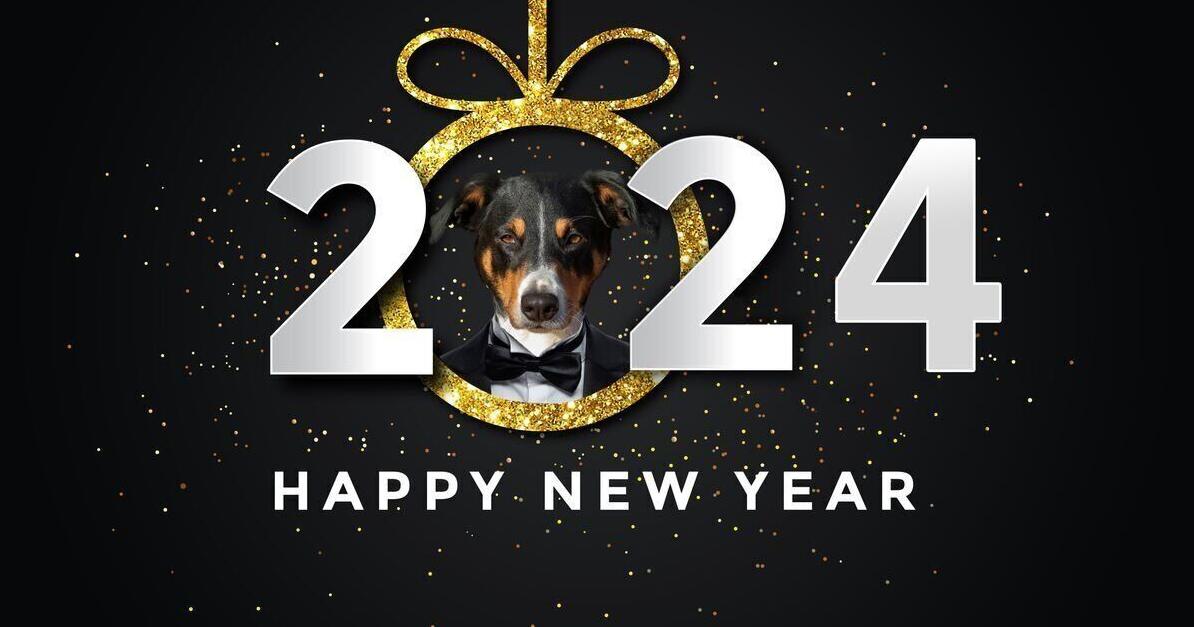 5 New Year resolutions for pet owners - Vimarsana News