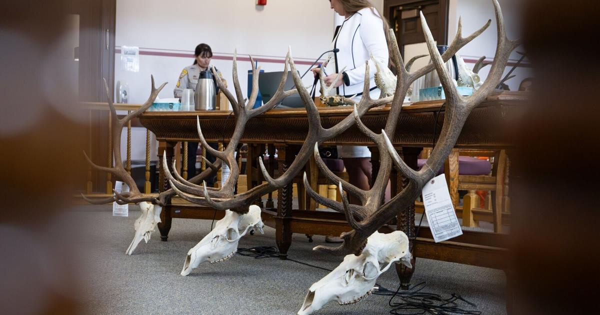 East Helena man loses hunting license, ordered to pay over $12K for poaching elk, deer
