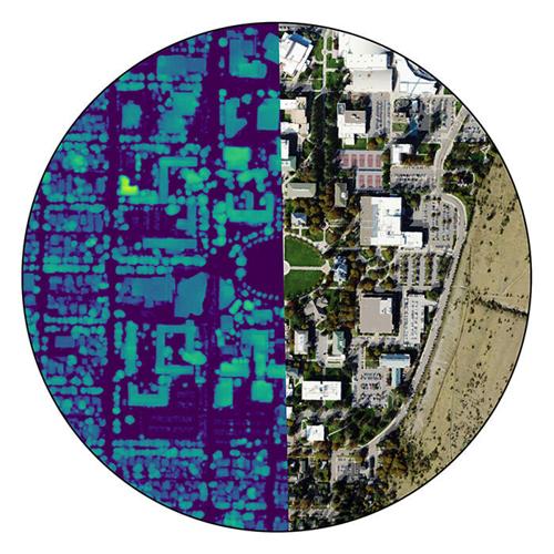 UM Scientists Unveil Free Product That Maps Trees, Shrubs Across Entire Country