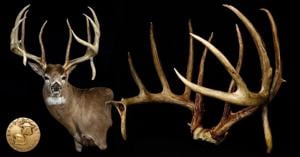 Illinois whitetail buck largest ever taken in U.S., Boone and Crockett announces