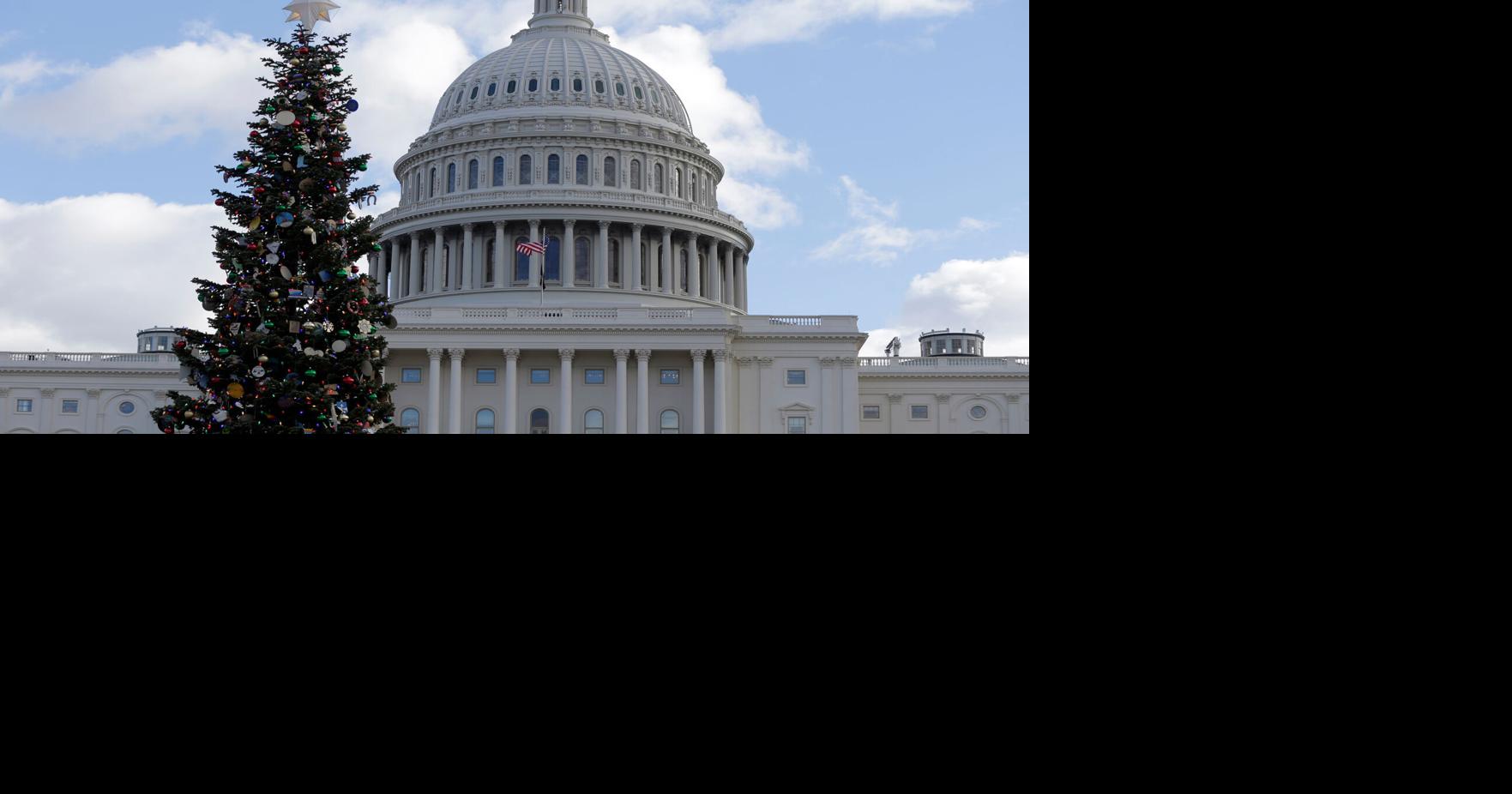 Lolo to host Capitol Christmas Tree's only Montana stop on cross-country tour