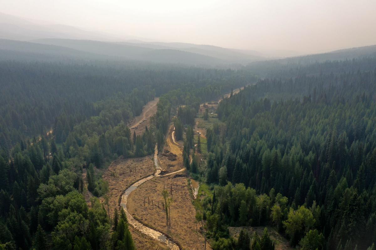 Ninemile Creek restoration 04