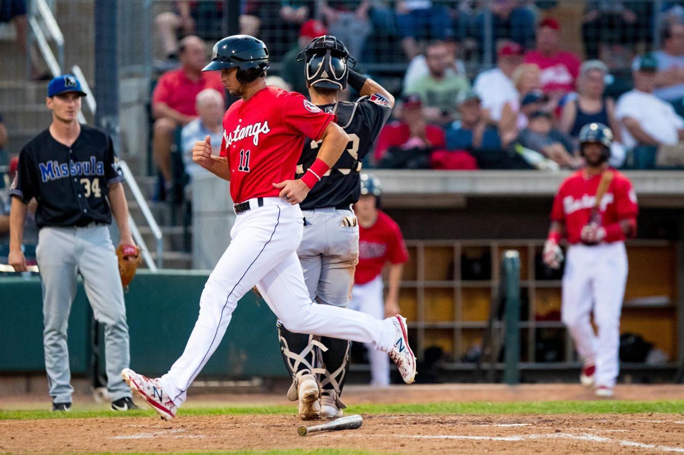 Photos Billings Mustangs clinch Pioneer League playoff berth Pioneer