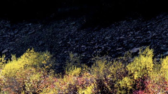 Western Montana Fishermen Share Favorite Flies For Fall Outdoors Missoulian Com