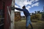 Inmate Tyler Kortan closes the door to a calf barn