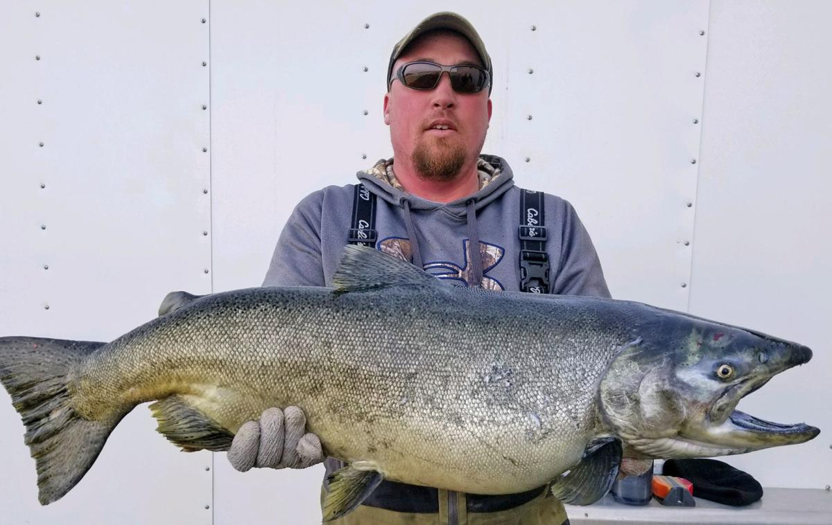 Record number of Fort Peck salmon stocked