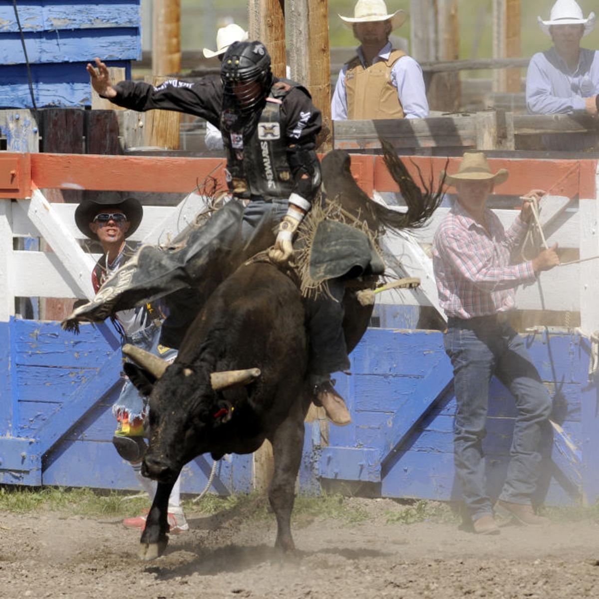 West Glacier Bull Rider Beau Hill Chasing Another Nfr Berth Rodeo Missoulian Com