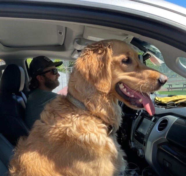 Opinion Dog riding shotgun