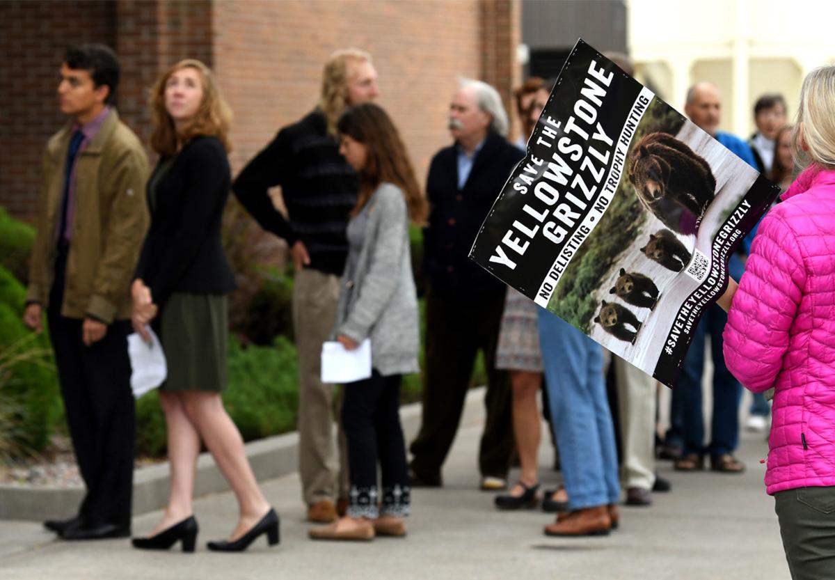 federal judge orders two week delay in grizzly hunts local