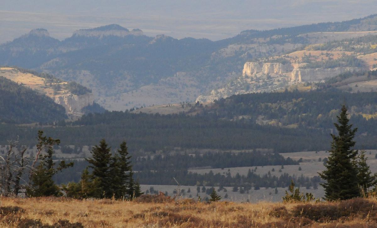 Pryor Mountains drive photos Outdoors