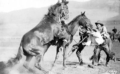 1916 USA photo postcard Missoula MT stampede 'Bull dogging'