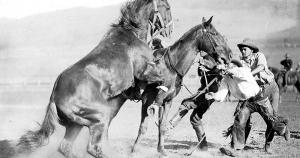 1916 USA photo postcard Missoula MT stampede 'Bull dogging' 1916 USA photo postcard Missoula MT stampede 'Bull dogging'